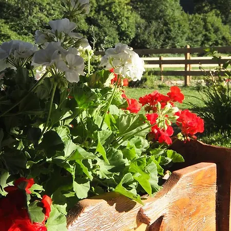 La Luge D'antan & 4*