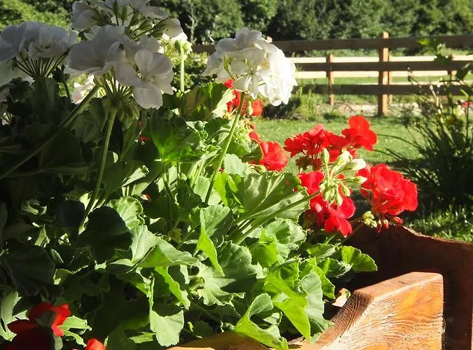 La Luge D'antan & 4*